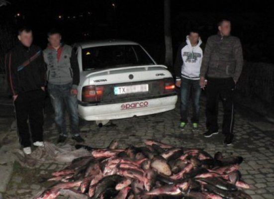 Peşte stricat, confiscat de jandarmi